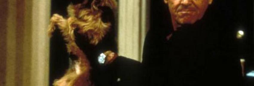 Jack Nicholson et le chien dans pour le meilleur et pour le pire