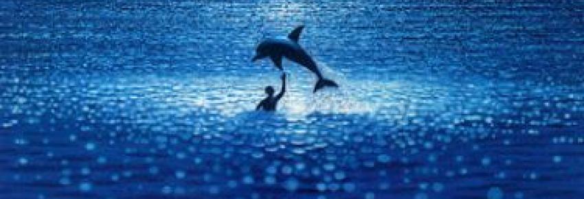 L'image finale, version US