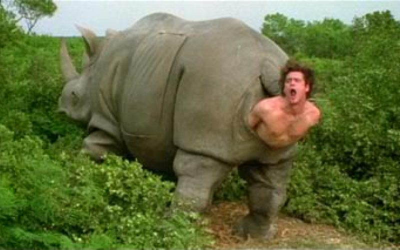 scène de la naissance d'Ace Ventura