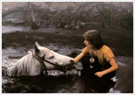 Artax (Nelle), le cheval d'Atreju